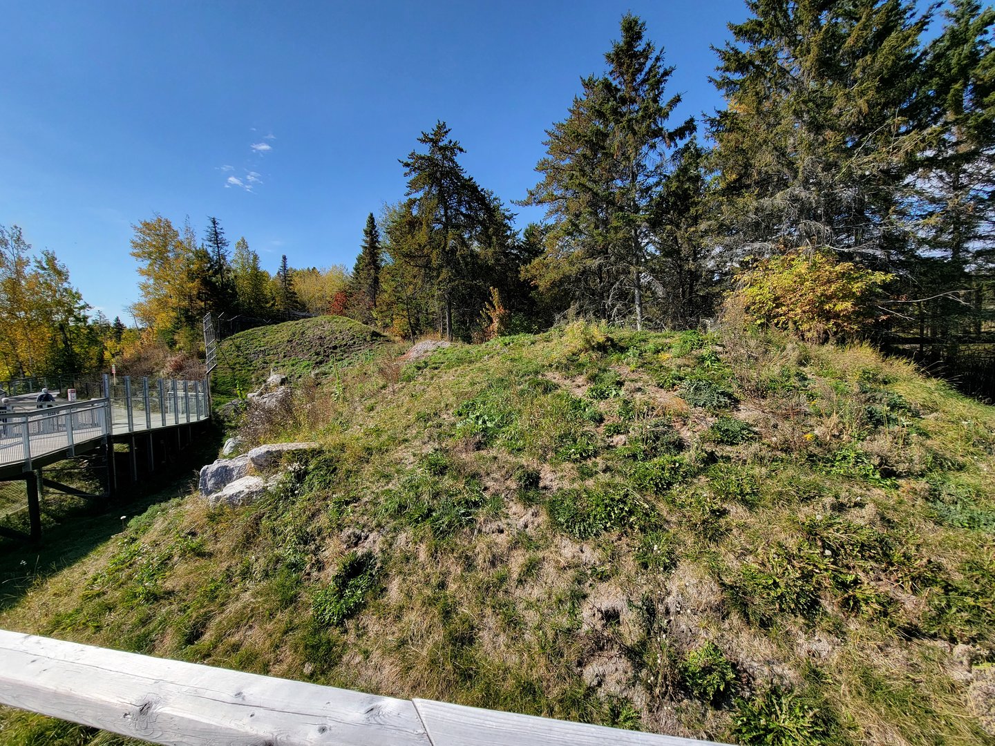 Zoo Sauvage 10/22 - Rocky Mountains, coyote exhibit