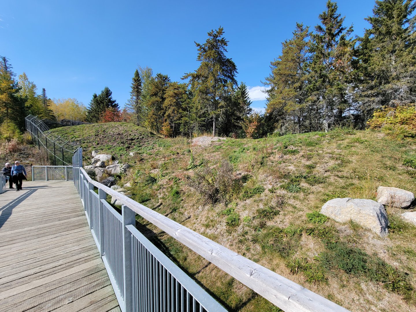 Zoo Sauvage 10/22 - Rocky Mountains, coyote exhibit