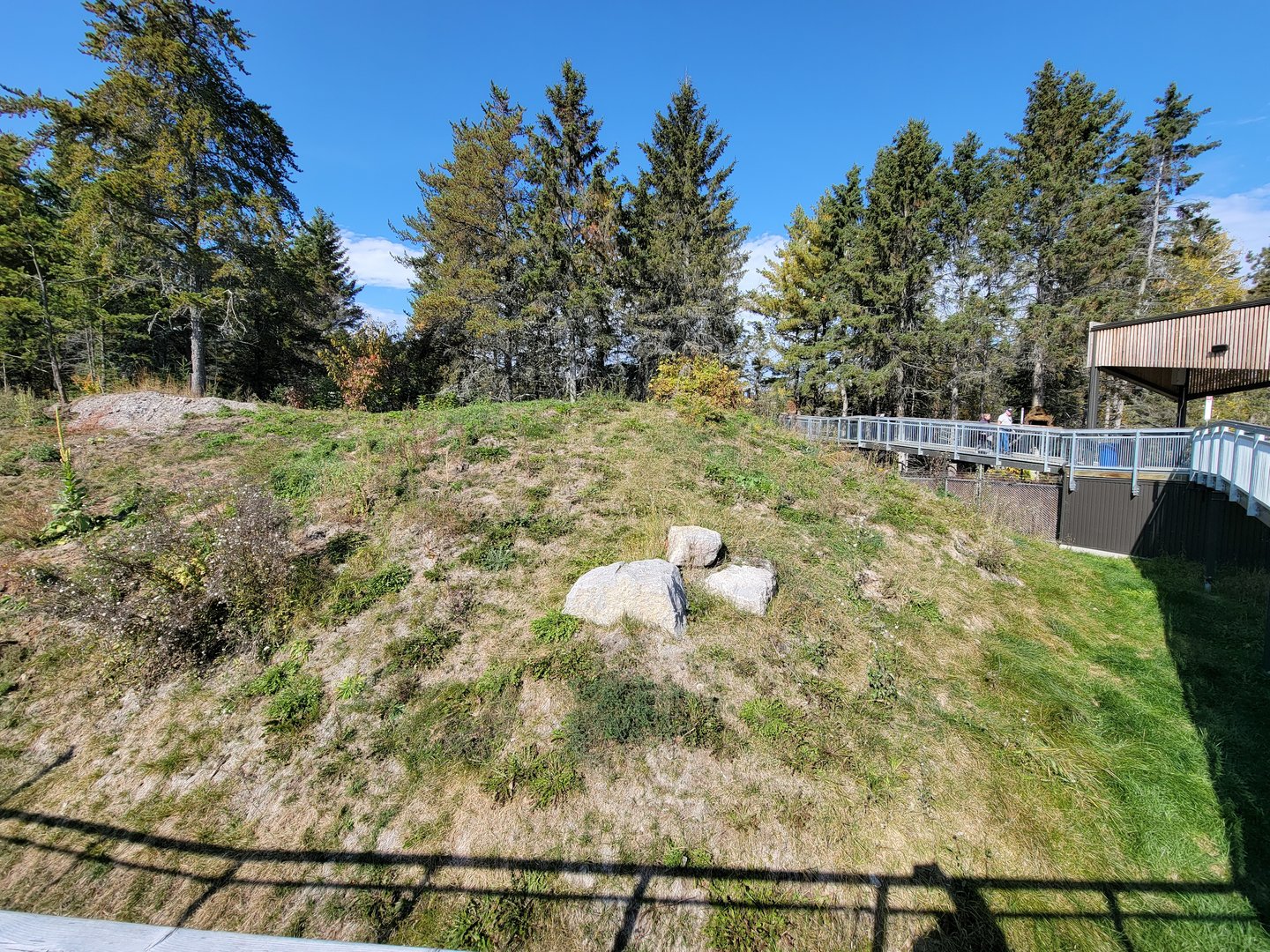 Zoo Sauvage 10/22 - Rocky Mountains, coyote exhibit