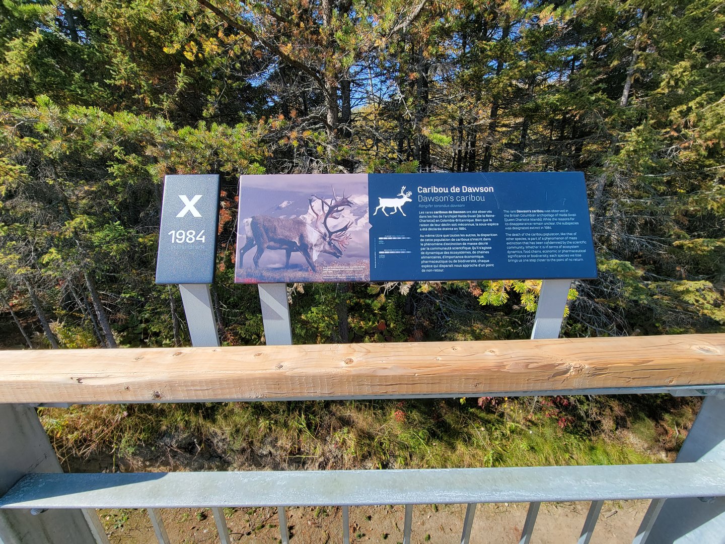 Zoo Sauvage 10/22 - Rocky Mountains, Dawson's Caribou extinction sign