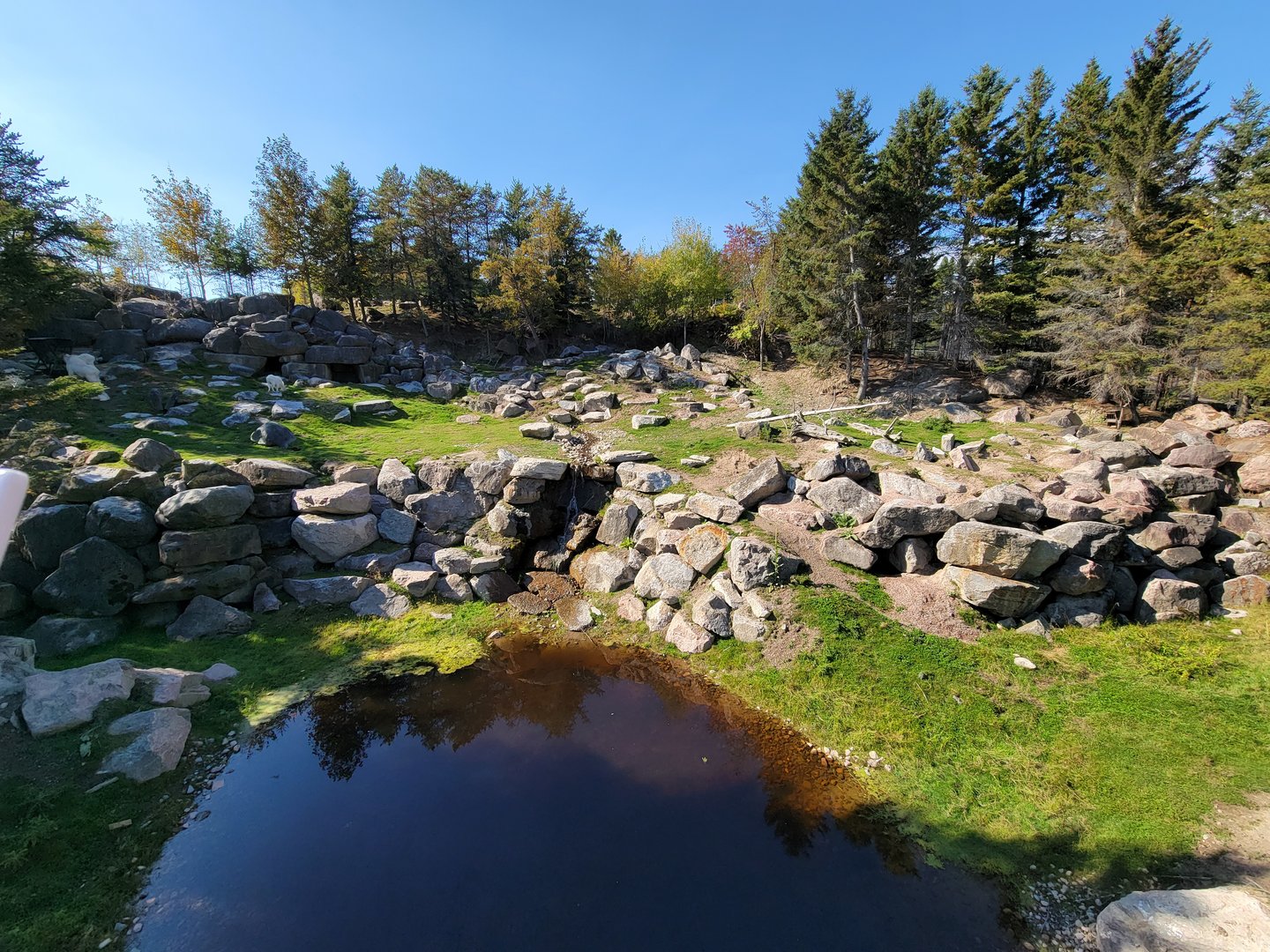 Zoo Sauvage 10/22 - Rocky Mountains, mountain goat exhibit