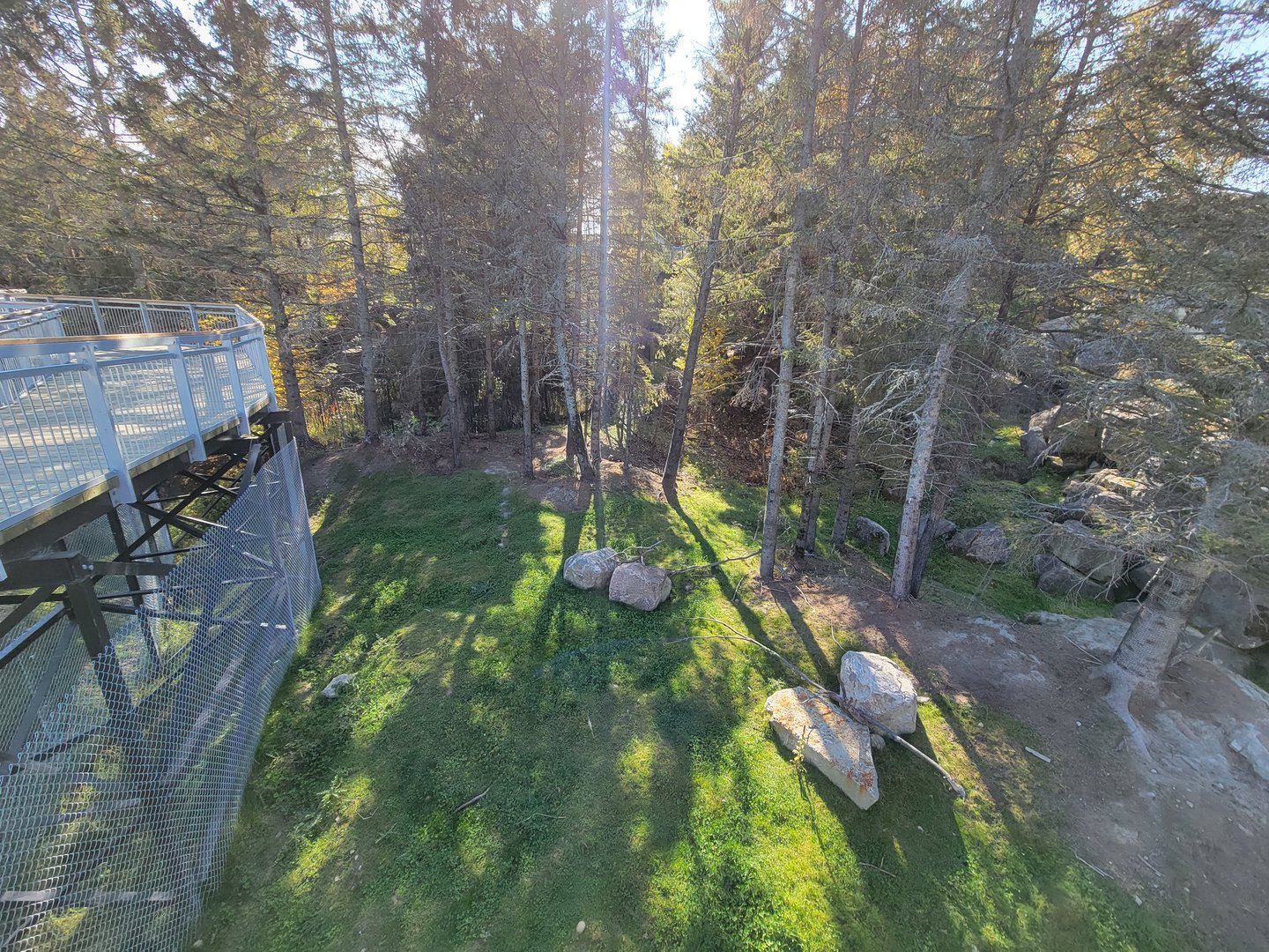 Zoo Sauvage 10/22 - Rocky Mountains, mountain goat exhibit