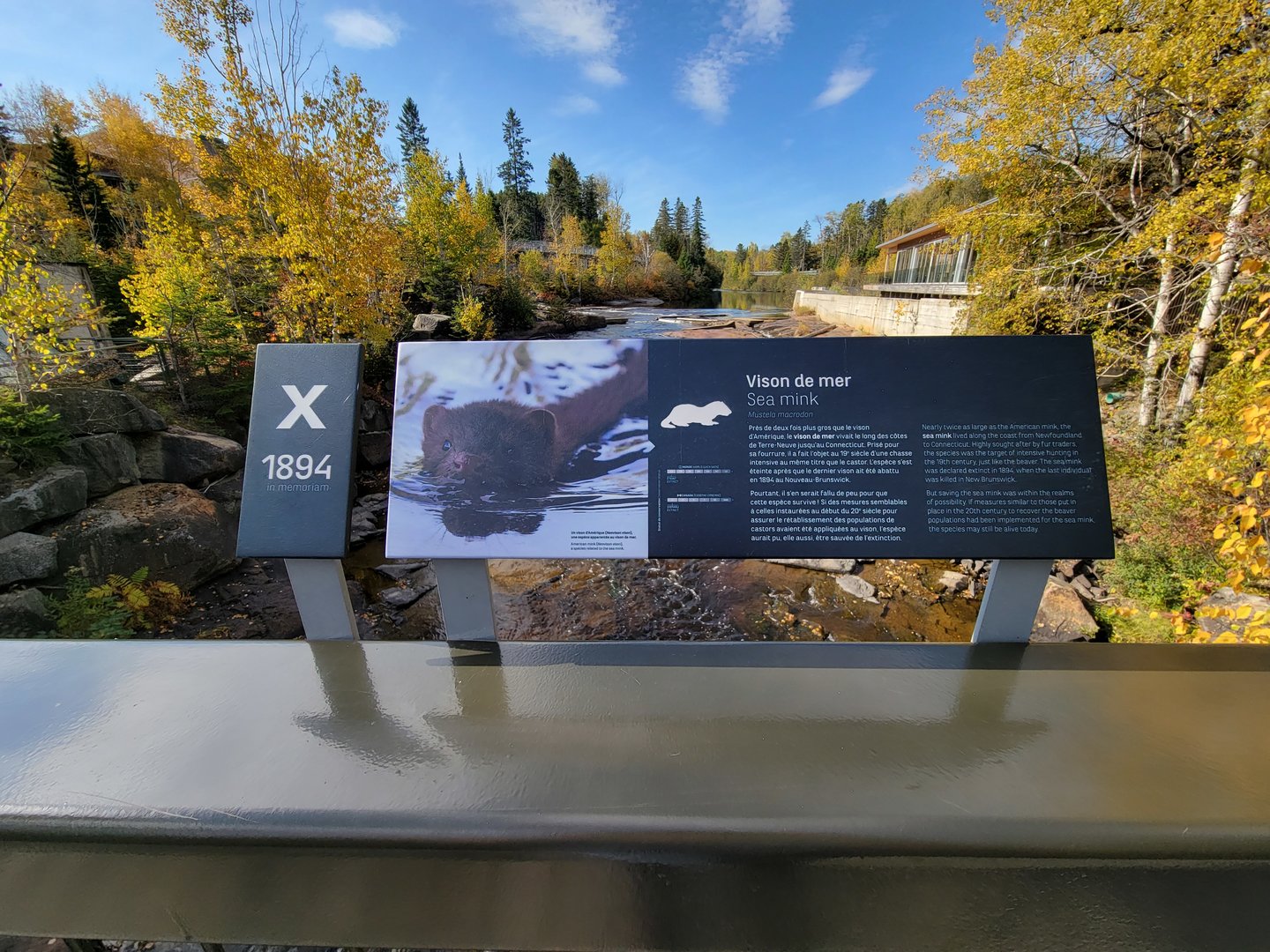 Zoo Sauvage 10/22 - Sea mink extinction sign