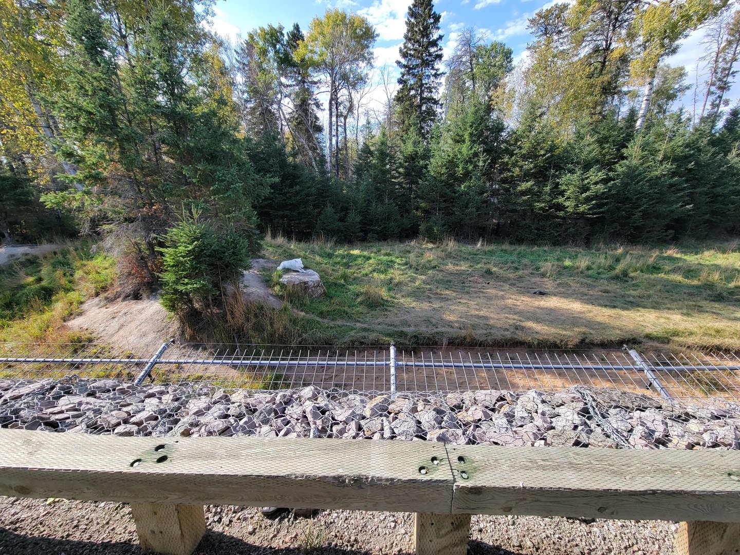 Zoo Sauvage 10/22 - Train, arctic wolves