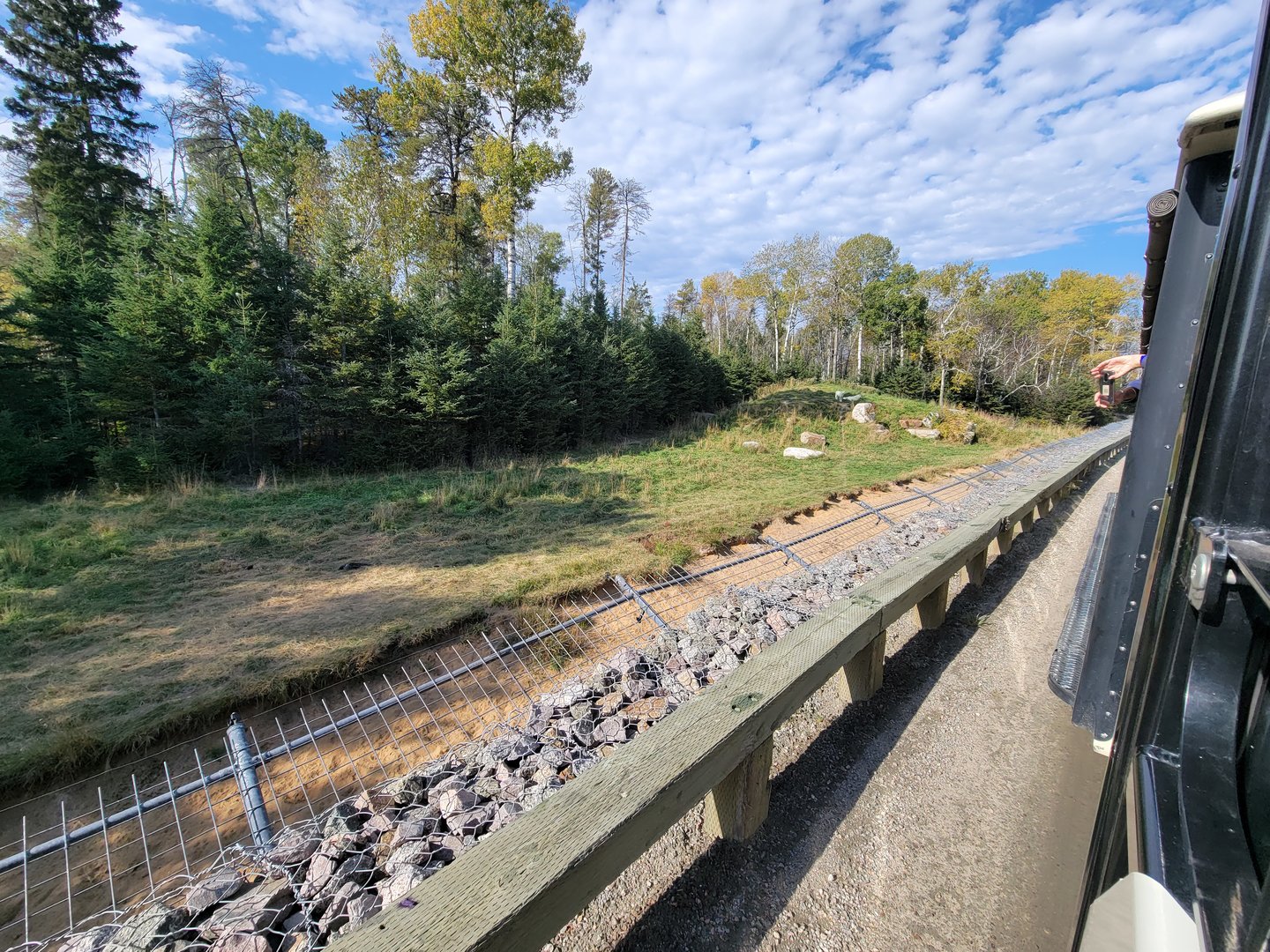 Zoo Sauvage 10/22 - Train, arctic wolves