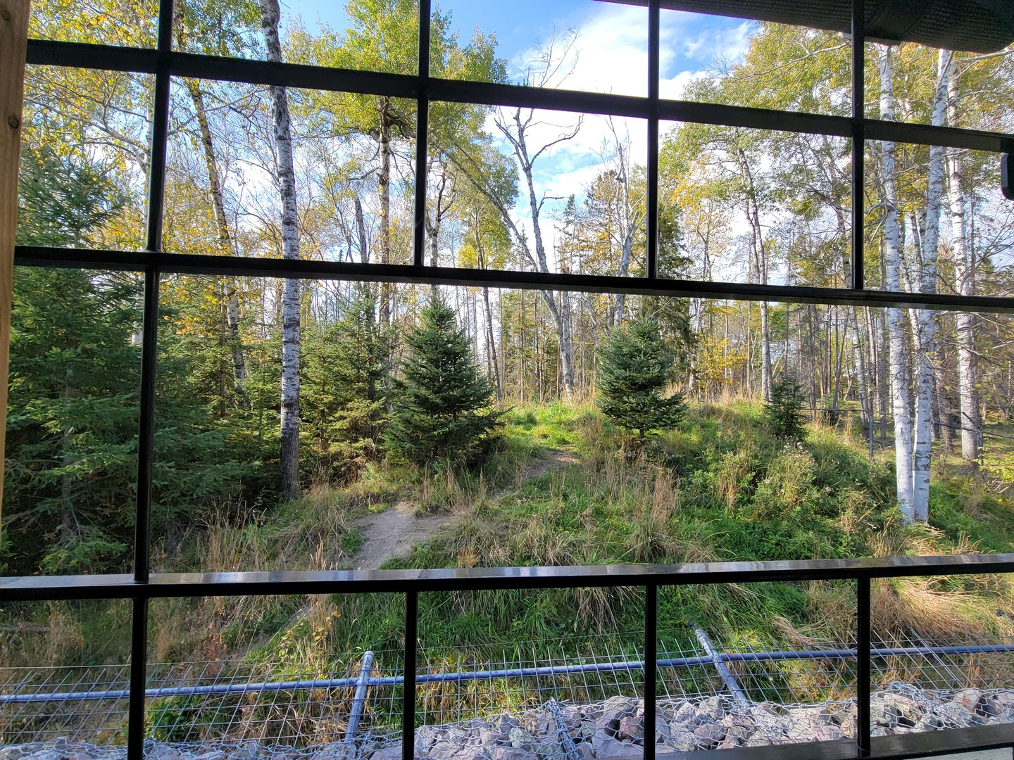 Zoo Sauvage 10/22 - Train, arctic wolves