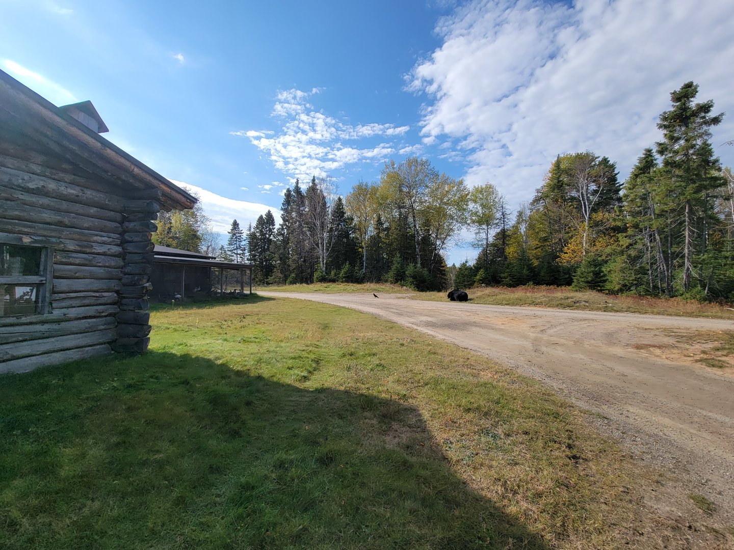 Zoo Sauvage 10/22 - Train, black bear and waterfowl in settlement #2