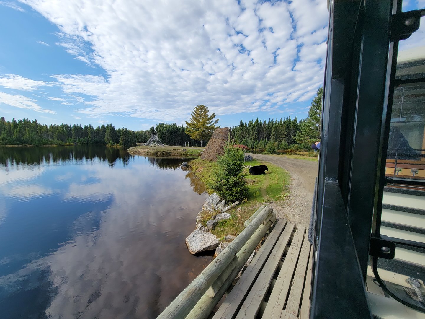 Zoo Sauvage 10/22 - Train, black bear in settlement #4
