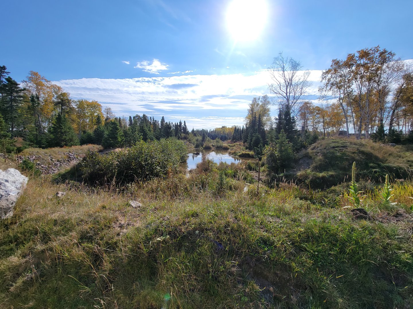 Zoo Sauvage 10/22 - Train, brown bear in pond