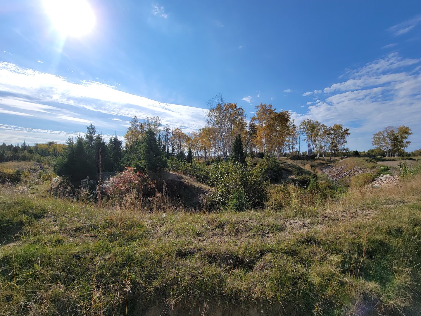 Zoo Sauvage 10/22 - Train, brown bear yard
