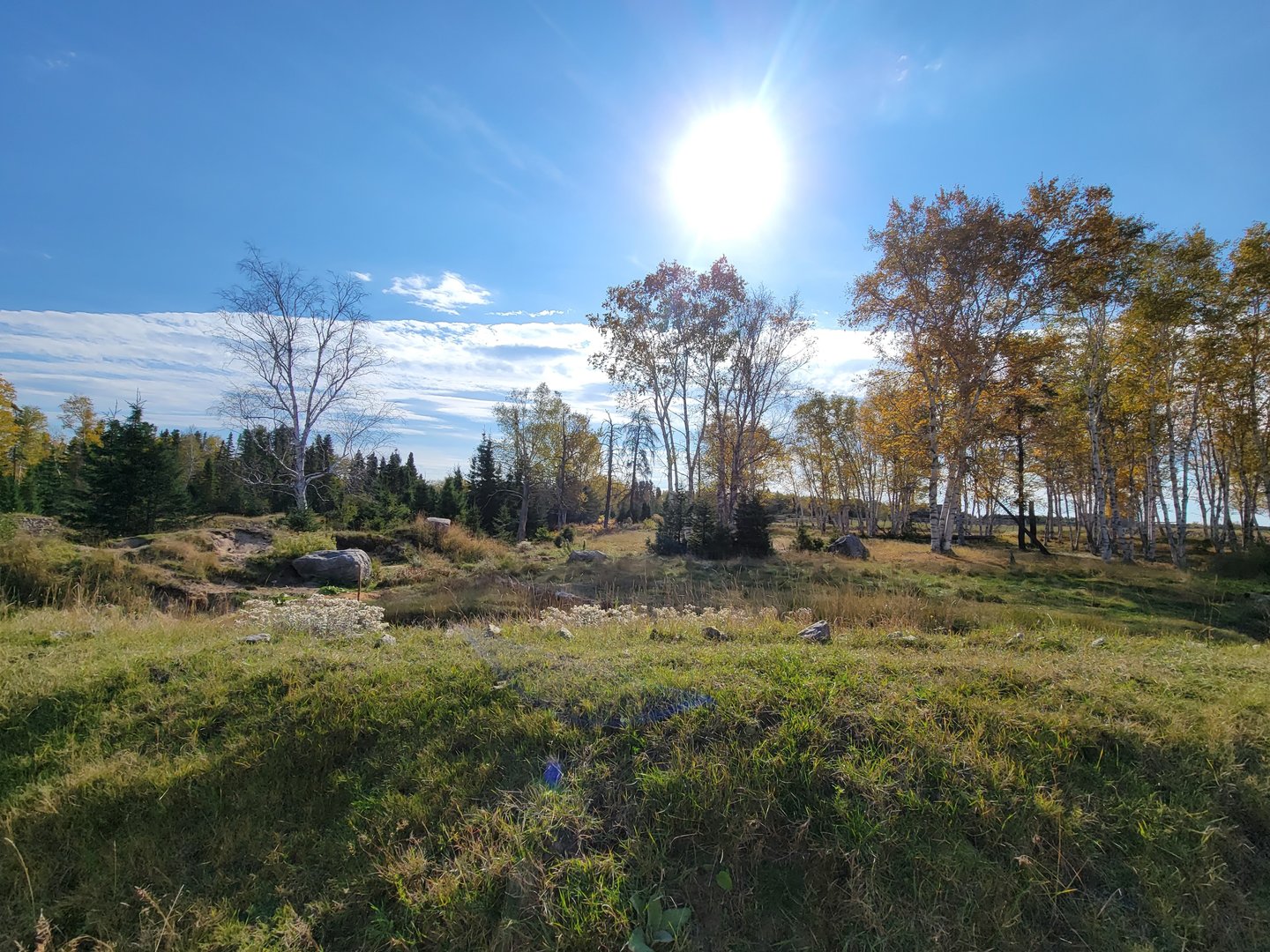 Zoo Sauvage 10/22 - Train, brown bear yard