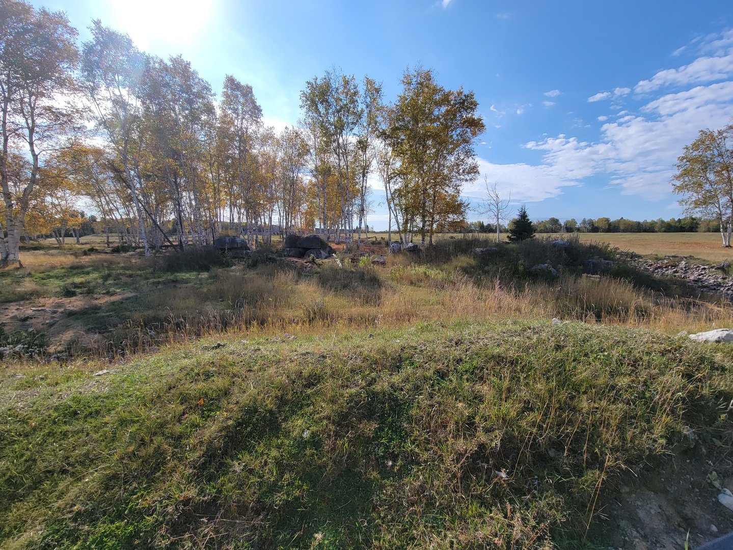 Zoo Sauvage 10/22 - Train, brown bear yard