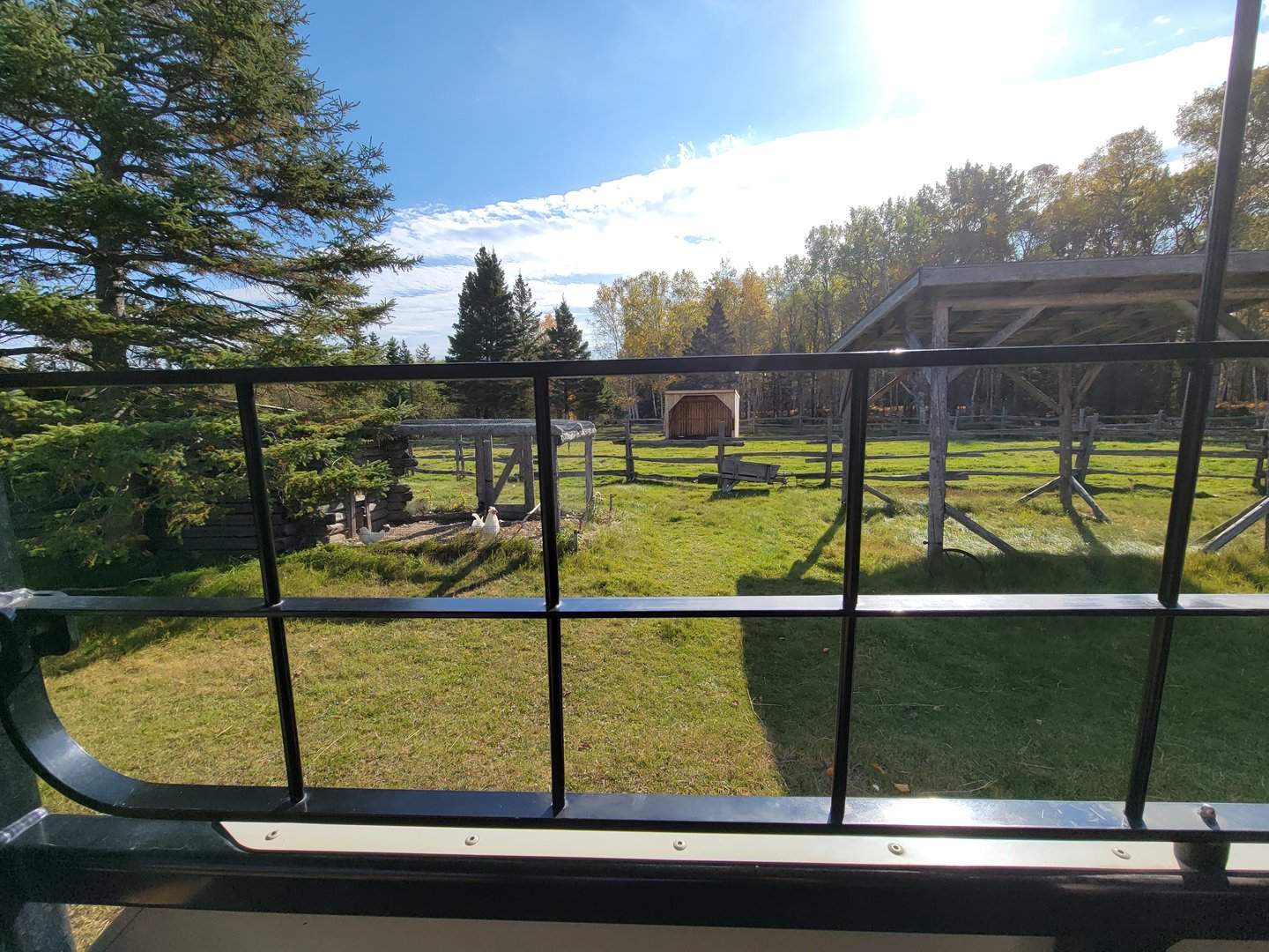 Zoo Sauvage 10/22 - Train, chickens in settlement #1