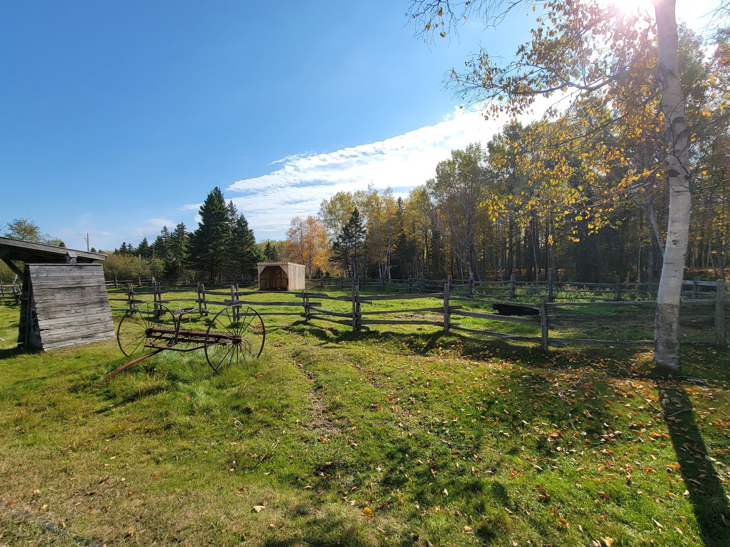 Zoo Sauvage 10/22 - Train, cow in settlement #1
