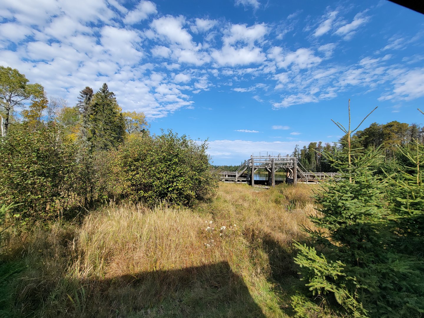 Zoo Sauvage 10/22 - Train, dam next to settlement #2