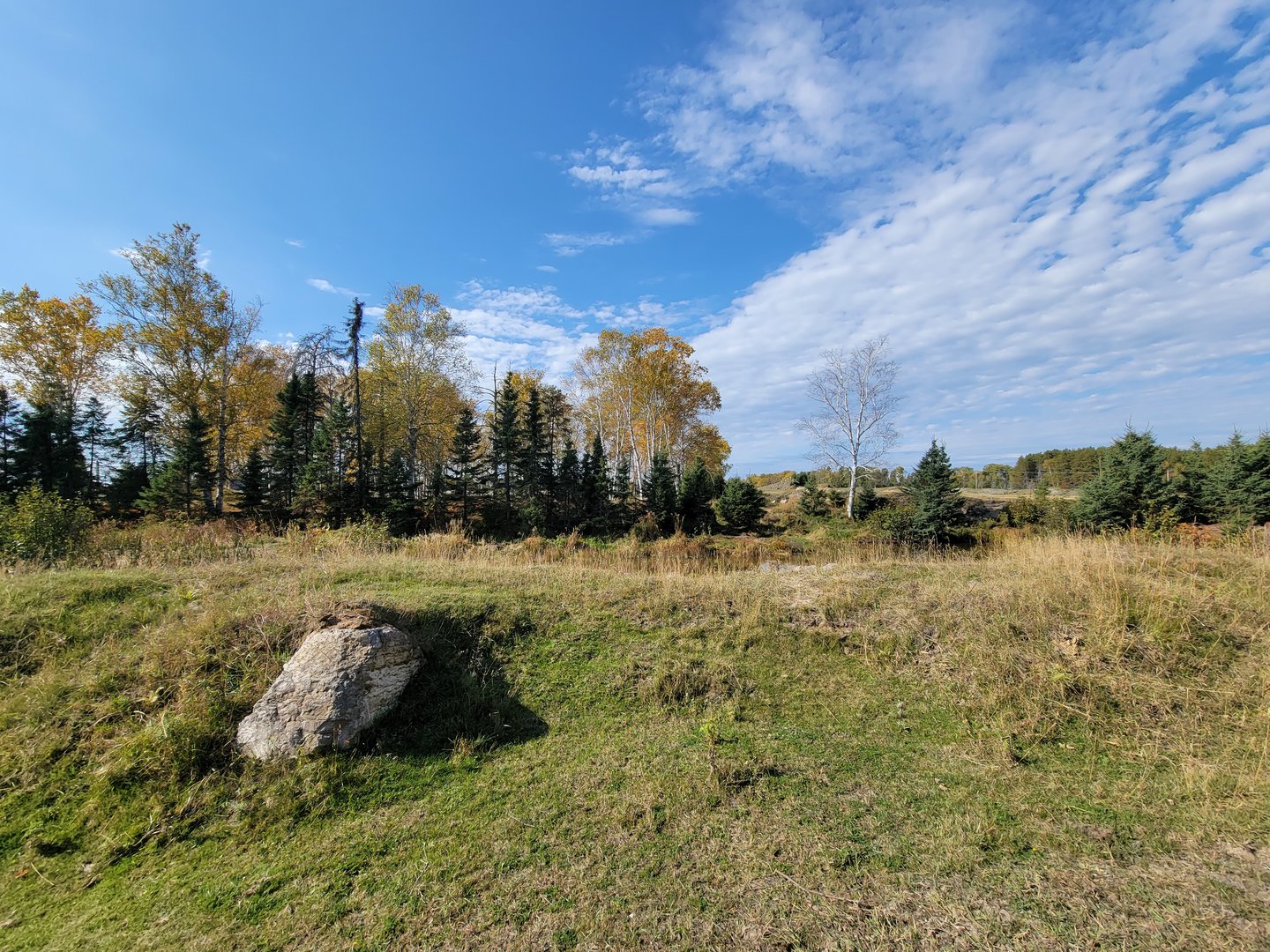 Zoo Sauvage 10/22 - Train, edge of brown bear exhibit