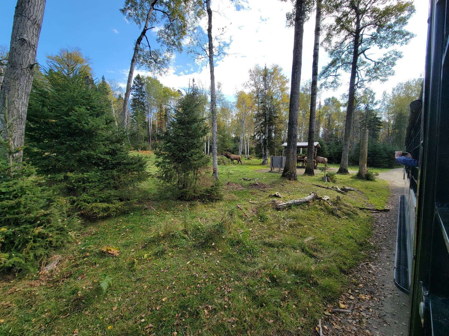 Zoo Sauvage 10/22 - Train, elk