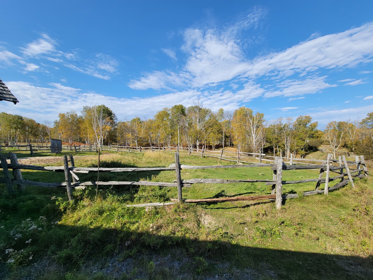 Zoo Sauvage 10/22 - Train, empty paddock in settlement #1