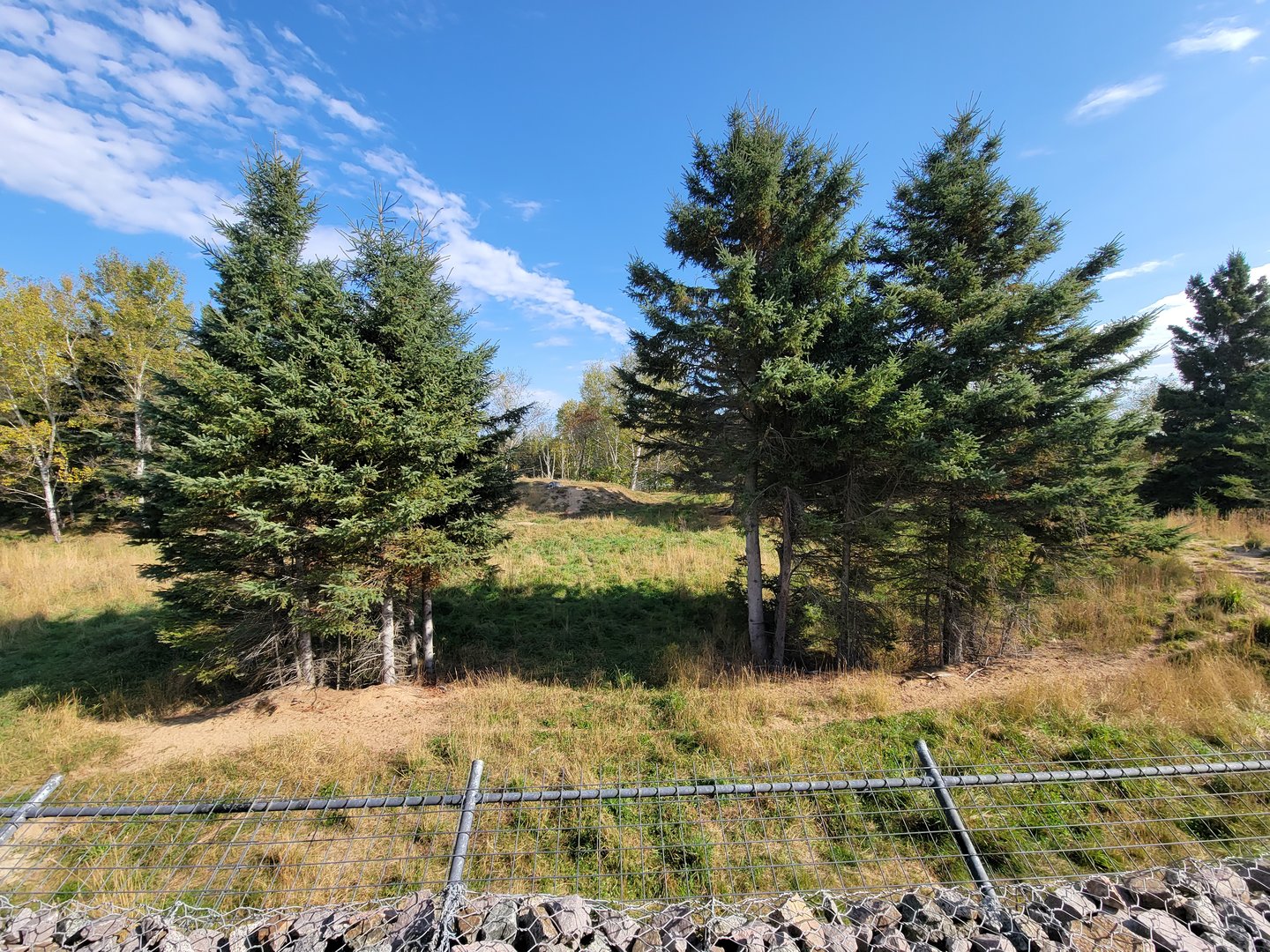 Zoo Sauvage 10/22 - Train, gray wolves