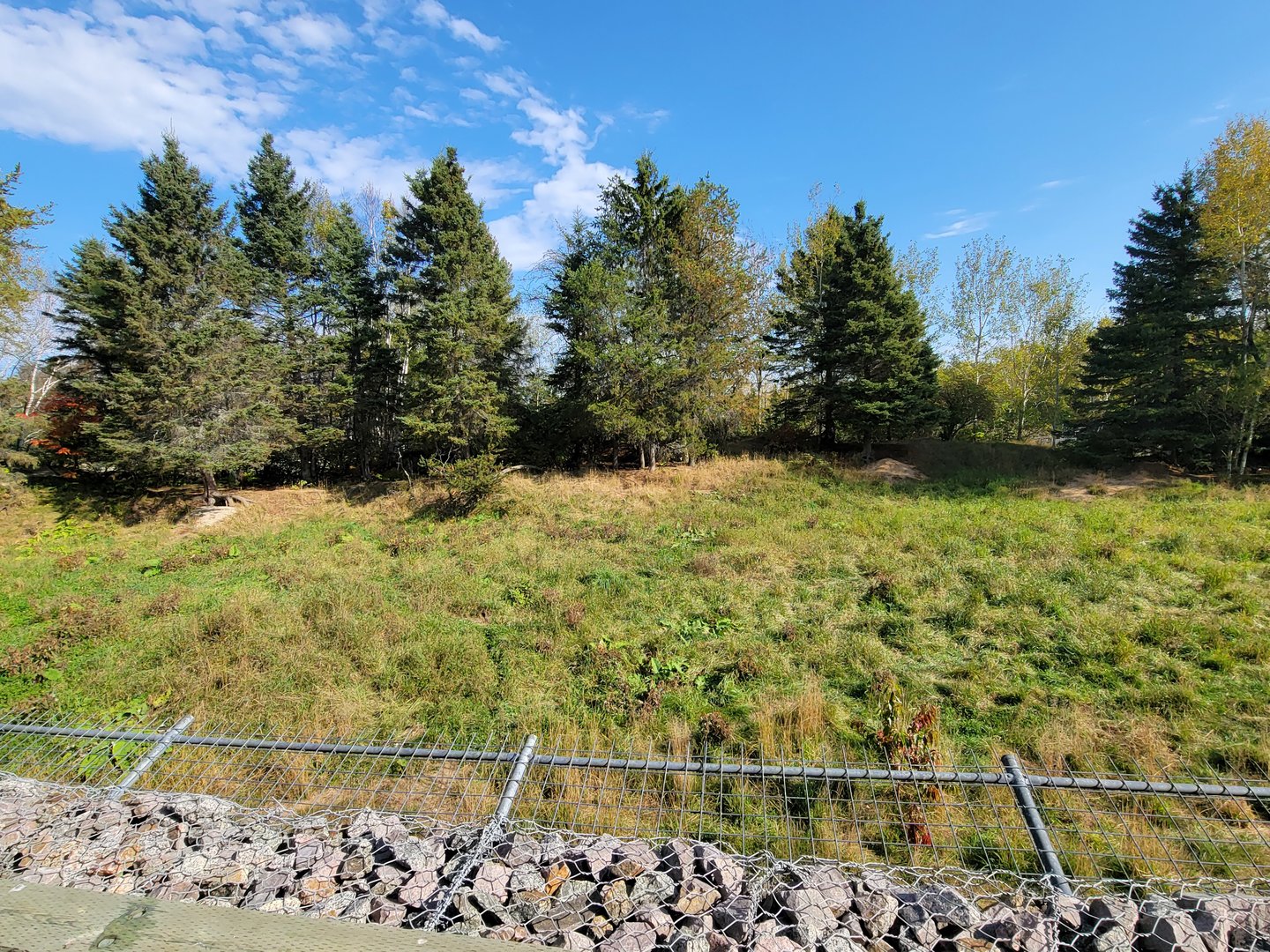 Zoo Sauvage 10/22 - Train, gray wolves