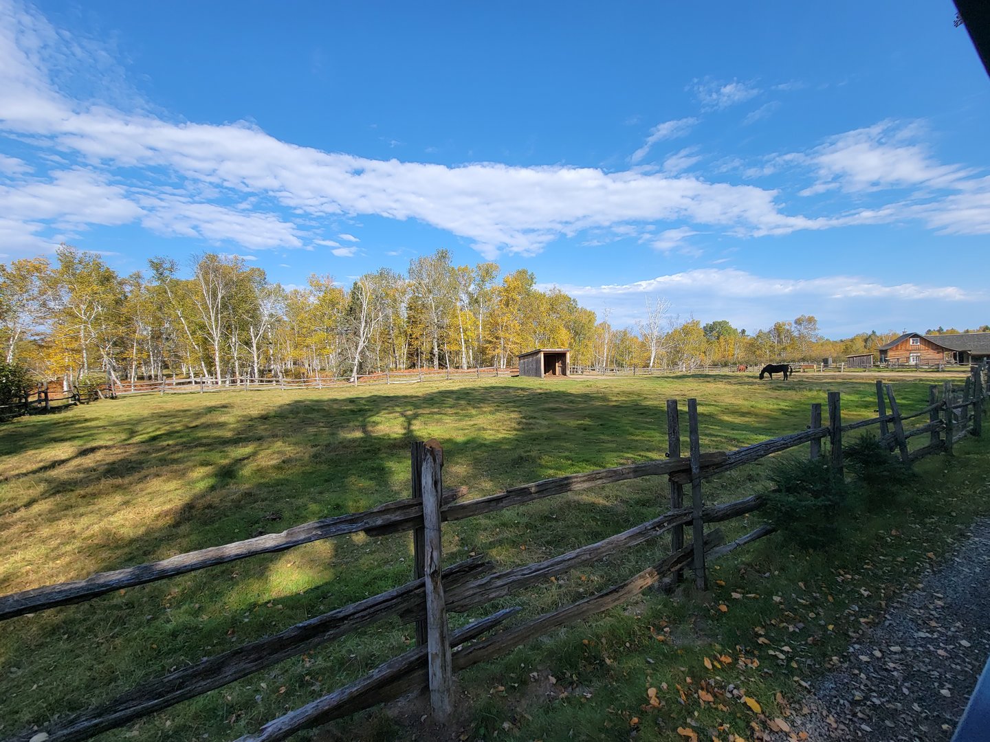Zoo Sauvage 10/22 - Train, horse paddock in settlement #1