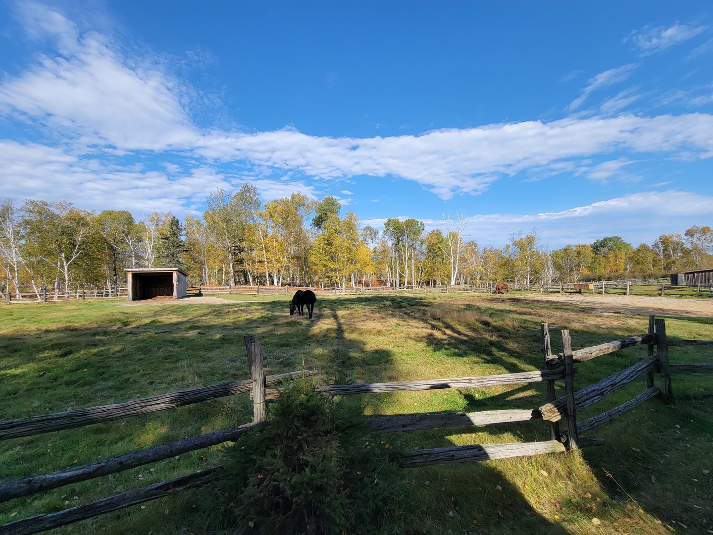 Zoo Sauvage 10/22 - Train, horse paddock in settlement #1