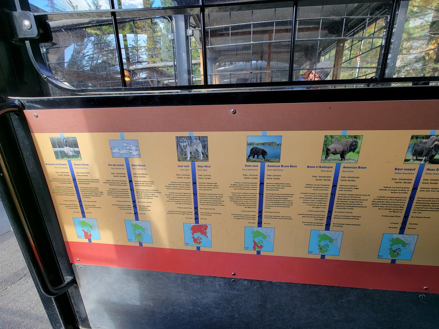 Zoo Sauvage 10/22 - Train, info on some of the species in front of each seating row