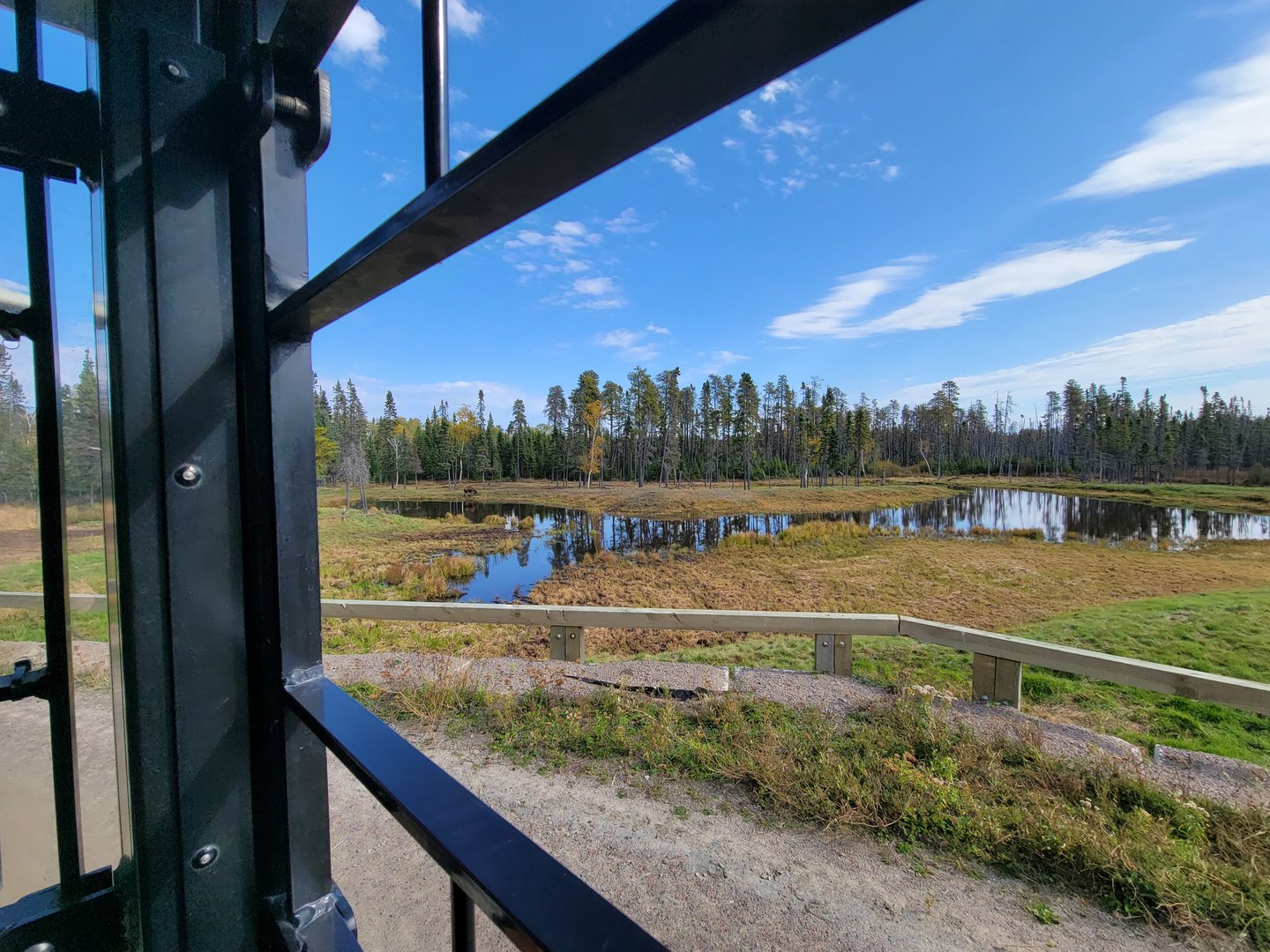 Zoo Sauvage 10/22 - Train, moose