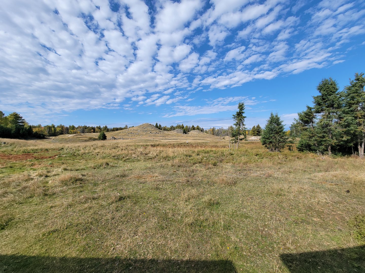 Zoo Sauvage 10/22 - Train, muskox area