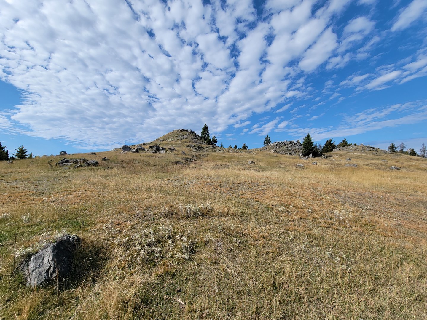 Zoo Sauvage 10/22 - Train, muskox area