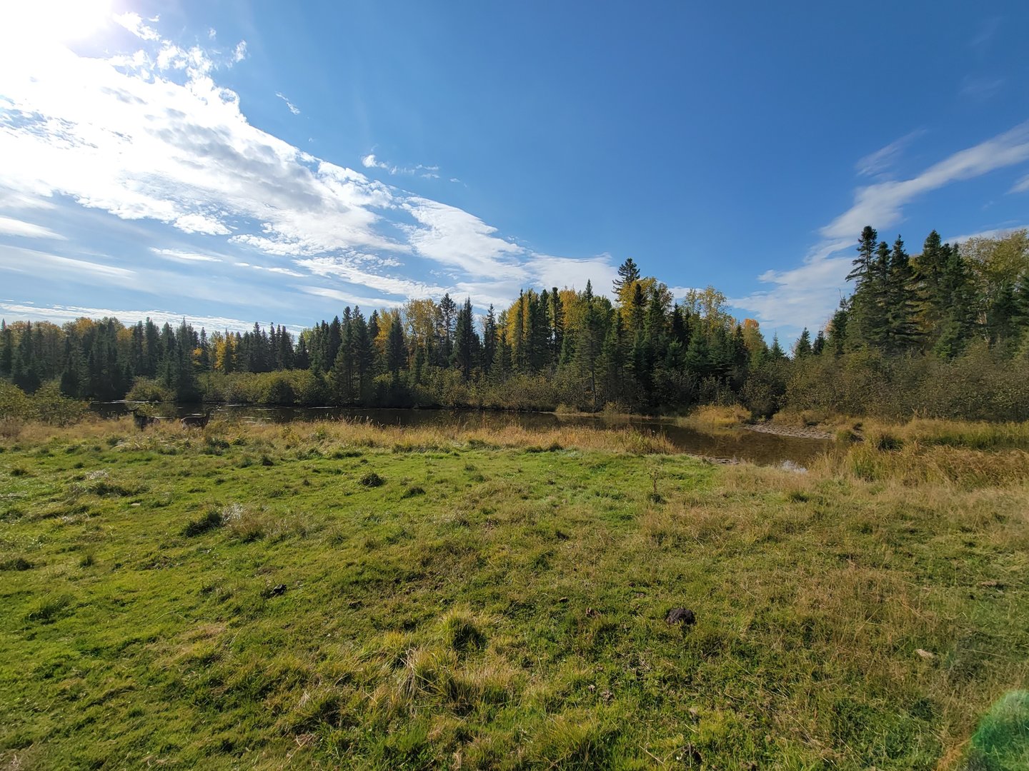 Zoo Sauvage 10/22 - Train, pond