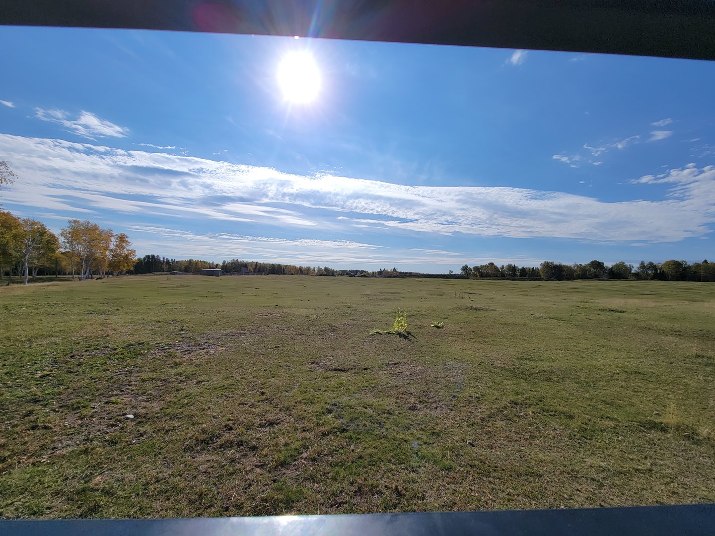 Zoo Sauvage 10/22 - Train, prairie dog field