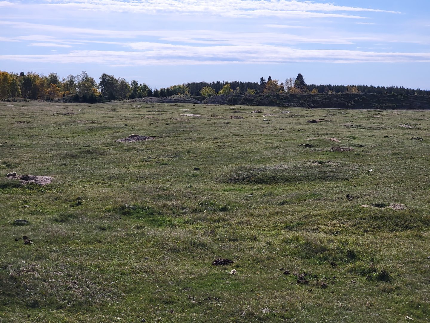 Zoo Sauvage 10/22 - Train, prairie dog field