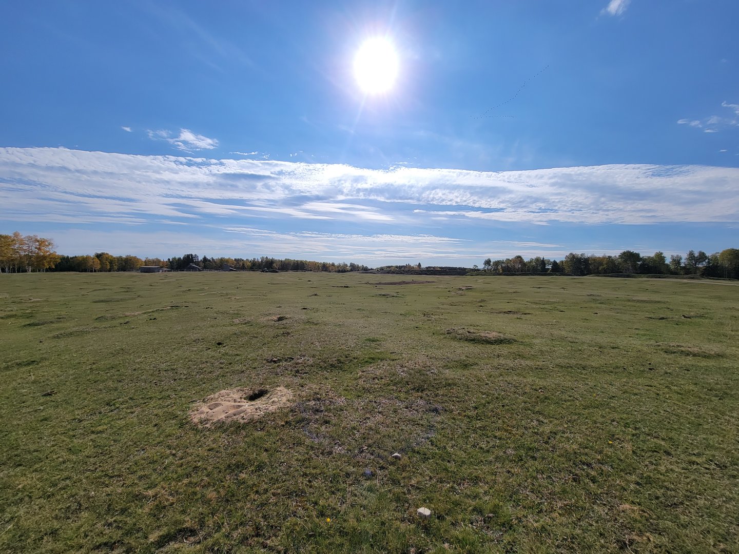 Zoo Sauvage 10/22 - Train, prairie dog field