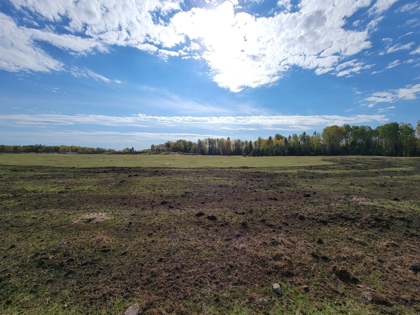 Zoo Sauvage 10/22 - Train, prairie dog field