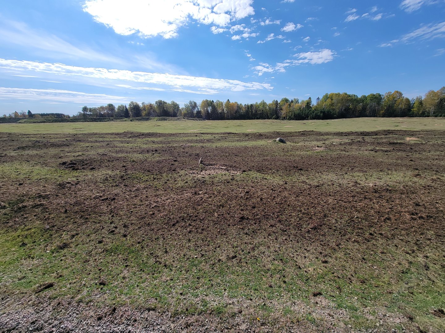 Zoo Sauvage 10/22 - Train, prairie dog field
