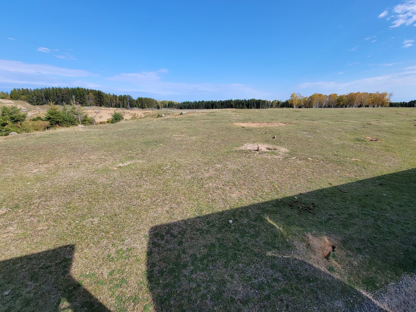 Zoo Sauvage 10/22 - Train, prairie dog field