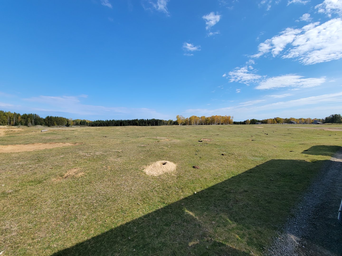 Zoo Sauvage 10/22 - Train, prairie dog field