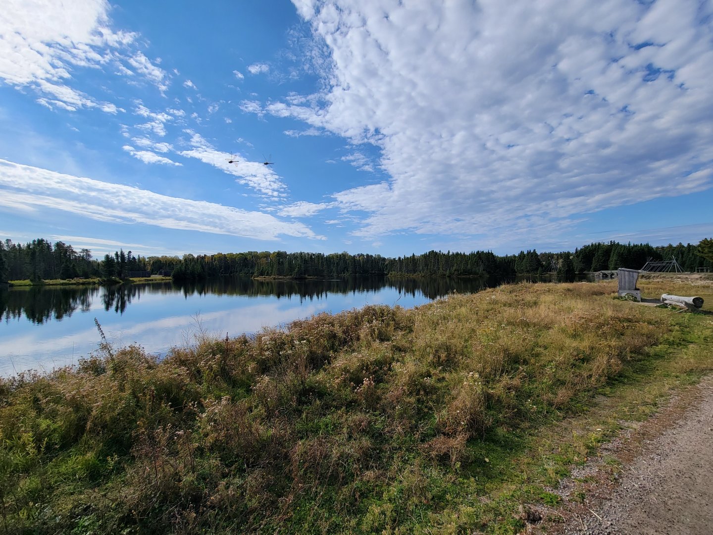 Zoo Sauvage 10/22 - Train, scenery and dragonflies :)