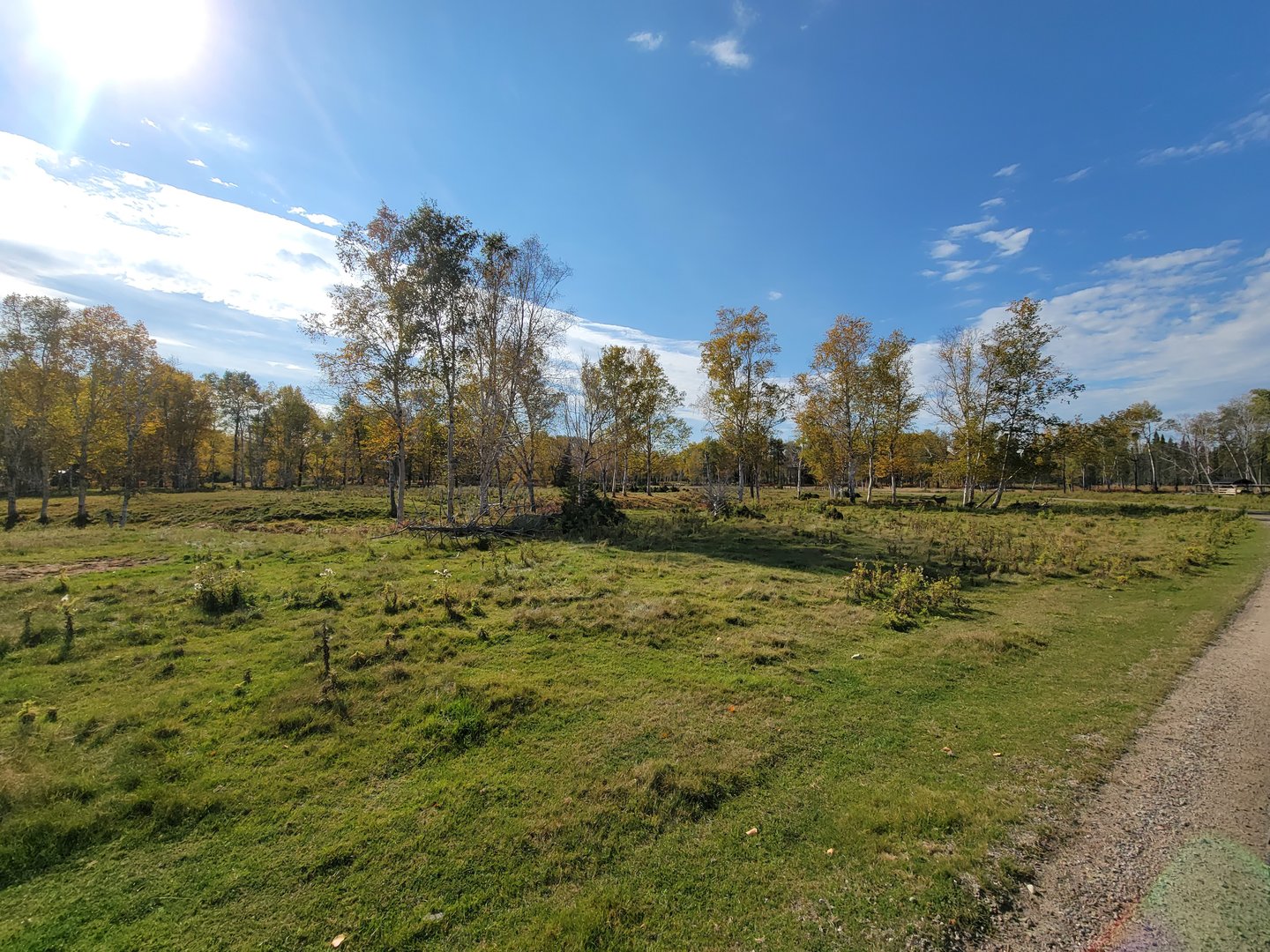 Zoo Sauvage 10/22 - Train, scenery and whitetail deer