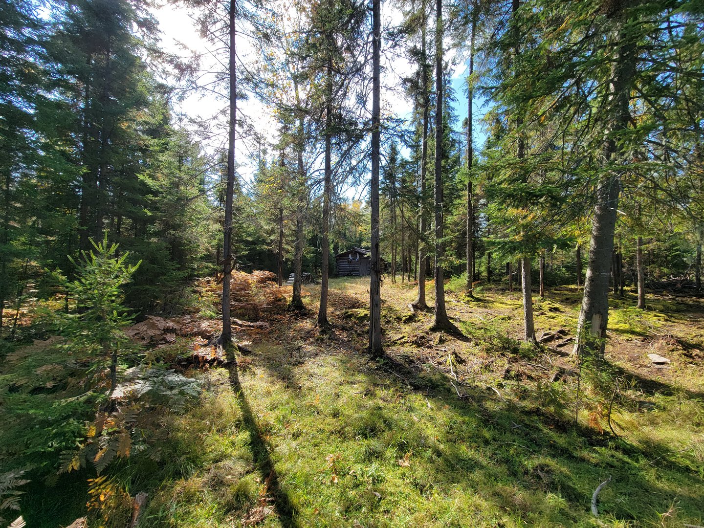 Zoo Sauvage 10/22 - Train, scenery at end of ride