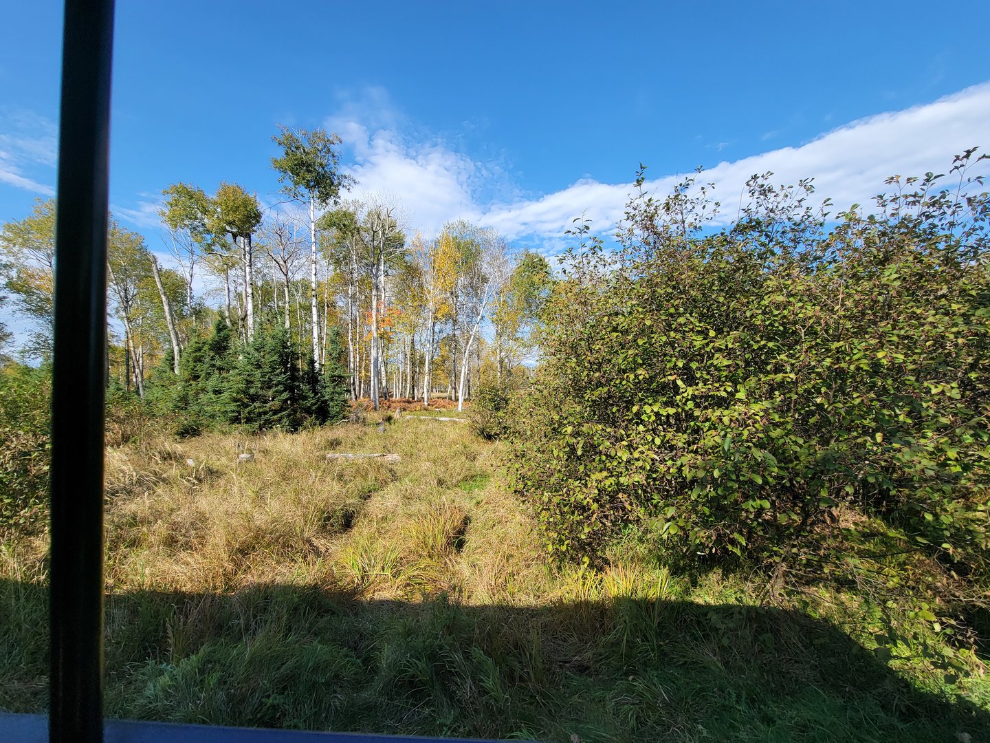 Zoo Sauvage 10/22 - Train, scenery