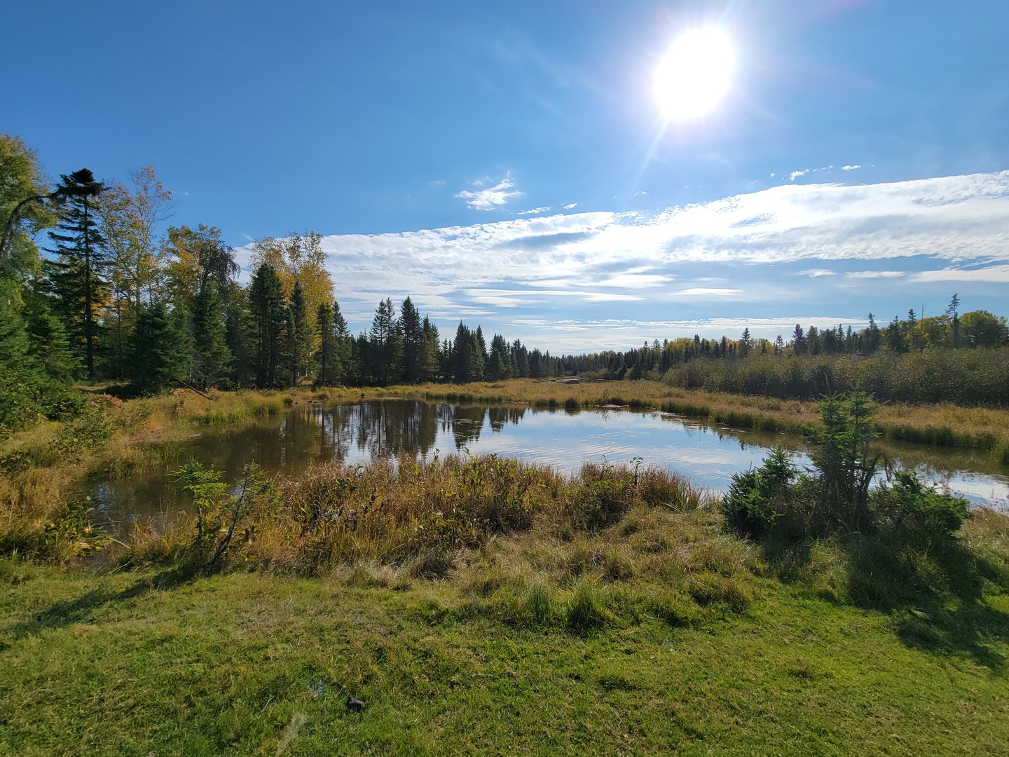Zoo Sauvage 10/22 - Train, scenery