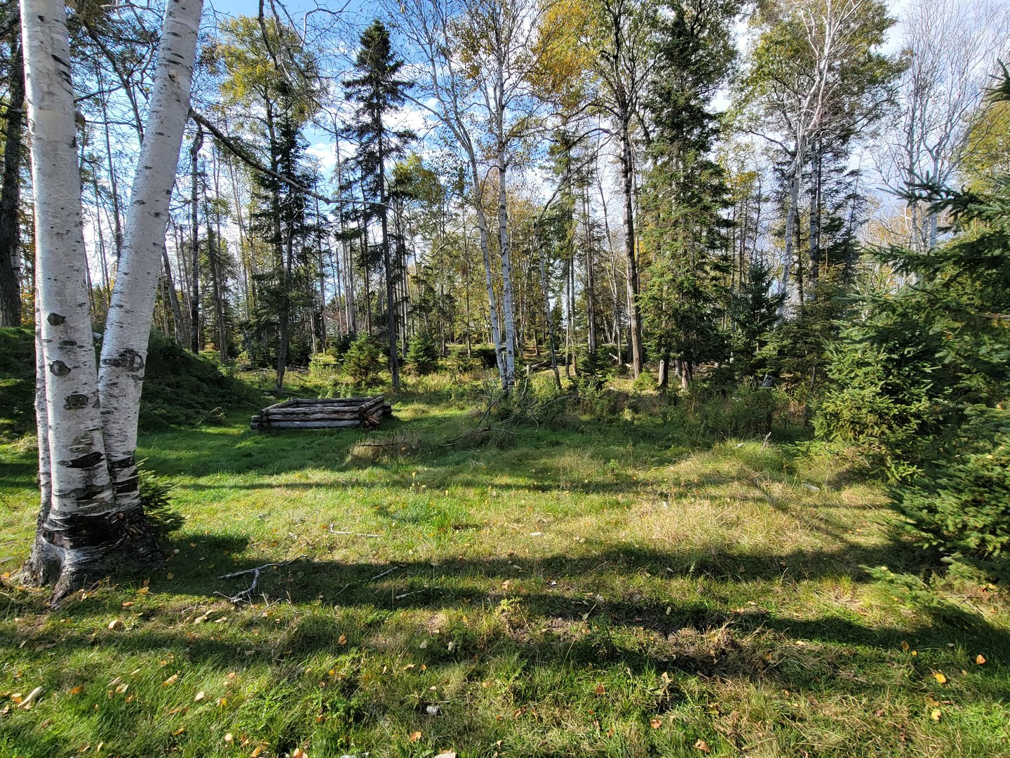 Zoo Sauvage 10/22 - Train, scenery