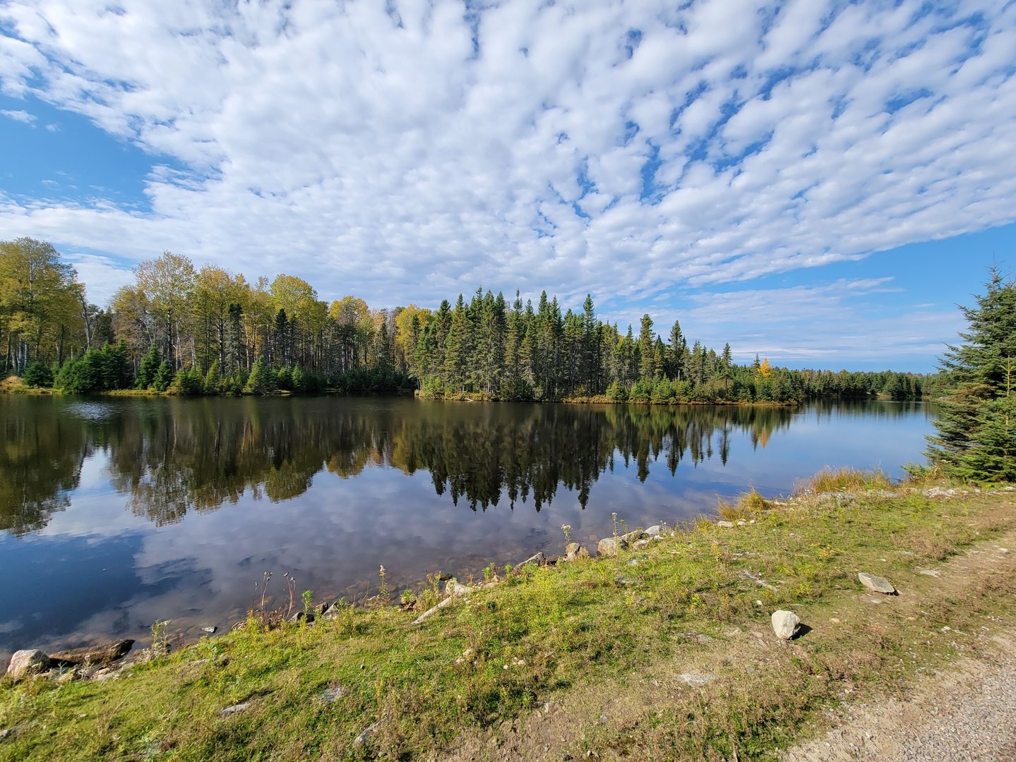 Zoo Sauvage 10/22 - Train, scenery