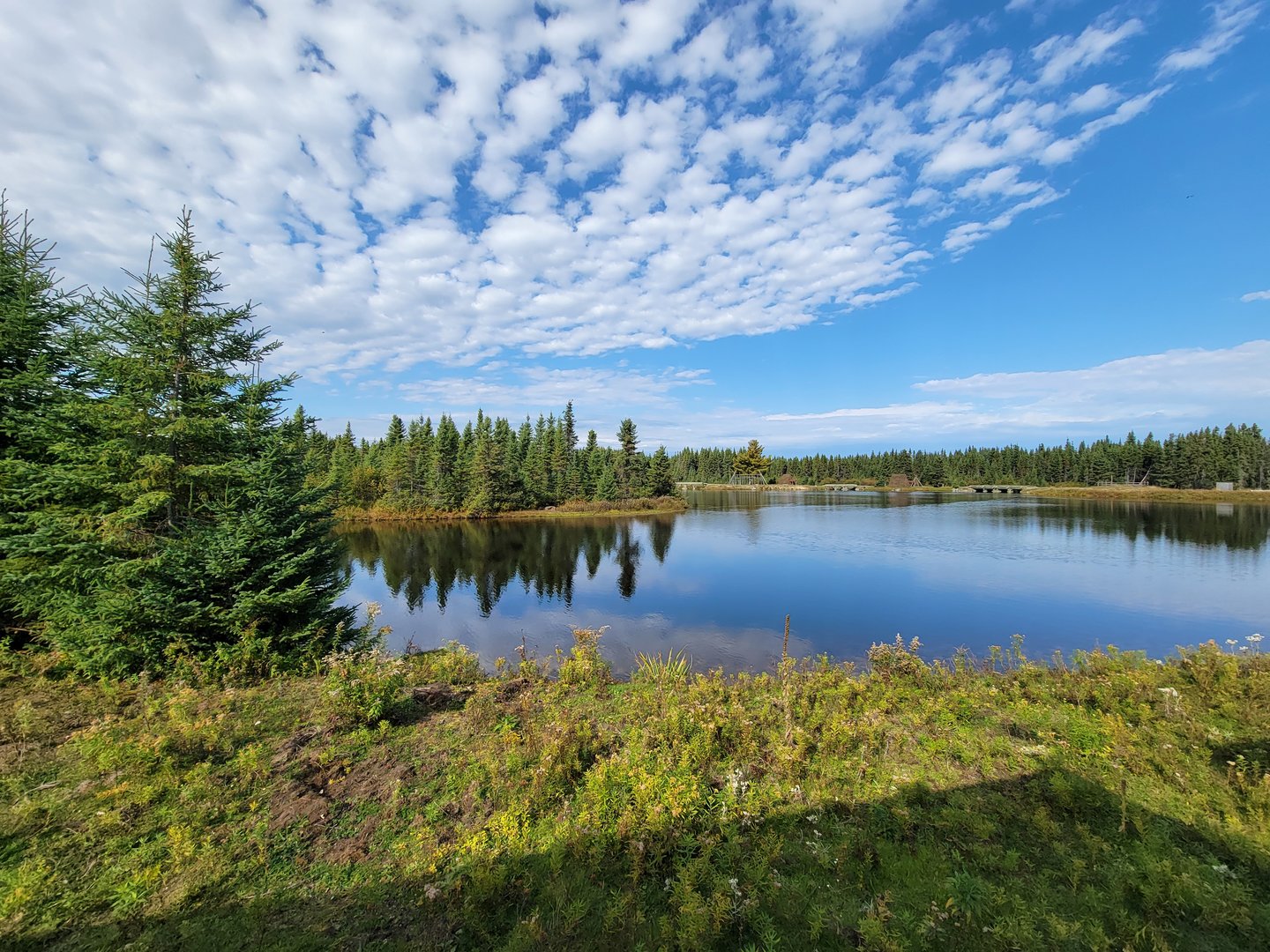 Zoo Sauvage 10/22 - Train, scenery