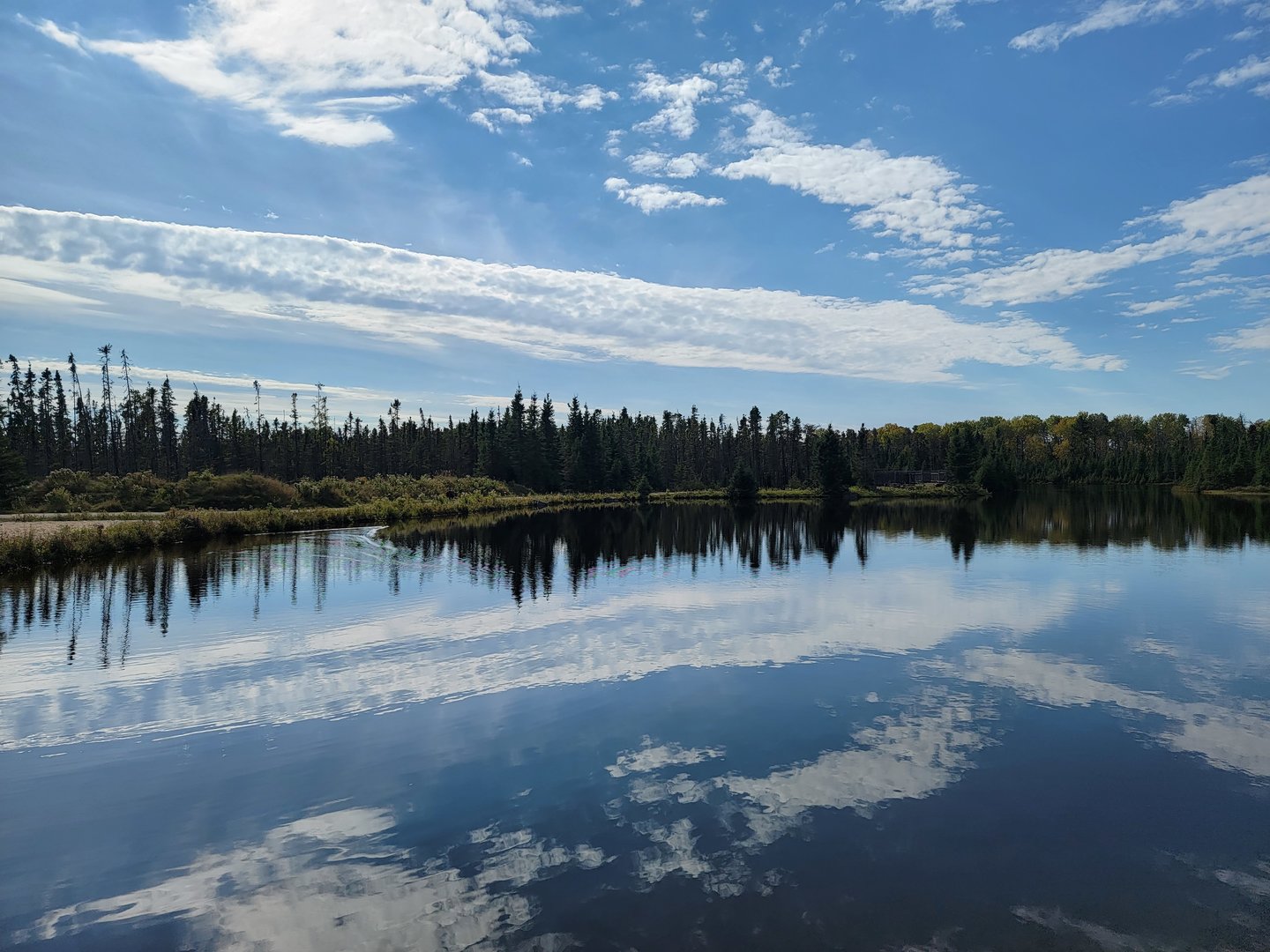Zoo Sauvage 10/22 - Train, scenery