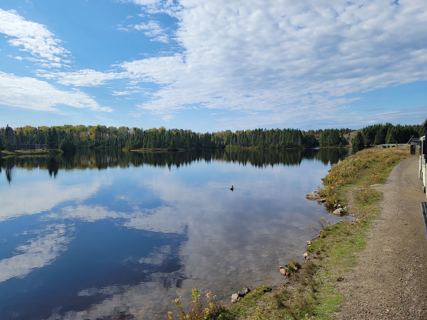 Zoo Sauvage 10/22 - Train, scenery