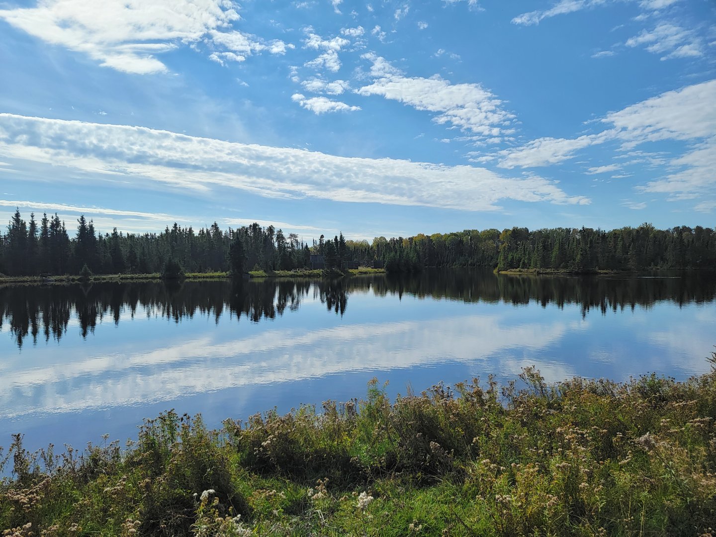 Zoo Sauvage 10/22 - Train, scenery