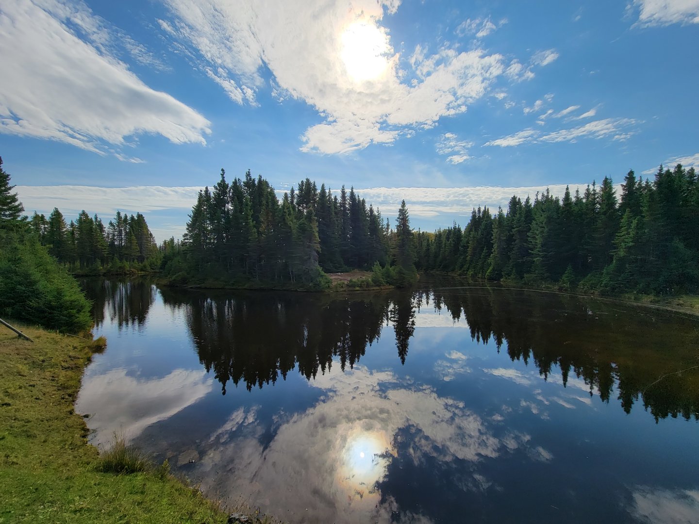 Zoo Sauvage 10/22 - Train, scenery